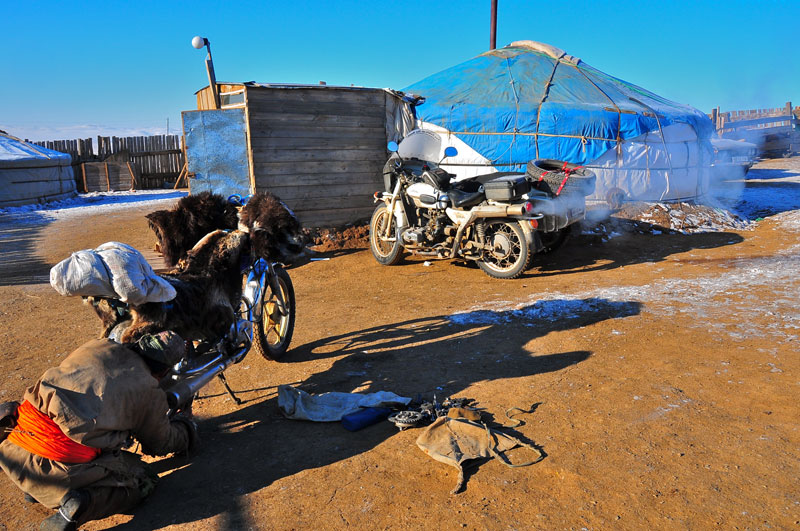 Mongolie